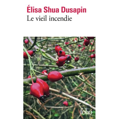 Le vieil incendie