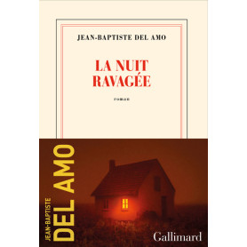 La nuit ravagée