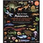 Ligne du temps Montessori - L'arrivée et l'évolution de la vie sur terre