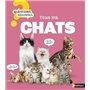 Tous les chats