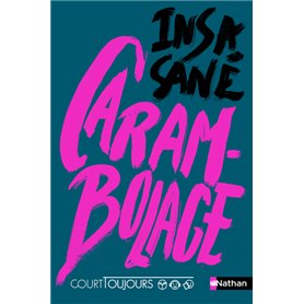 Court toujours : Carambolage