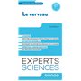 Le cerveau