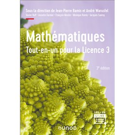 Mathématiques Tout-en-un pour la Licence 3 - 3e éd.