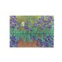 Chemise porte-documents Iris de Van Gogh