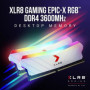 Mémoire RAM - PNY - XLR8 Gaming EPIC-X RGB DDR4 3600MHz 2x8GB White Edition - 79,99 €