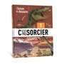 C'est pas sorcier - L'histoire des dinosaures