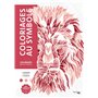 Coloriages mystères - Coloriages au symbole