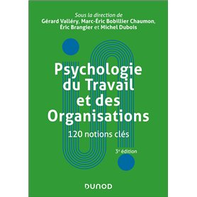Psychologie du Travail et des Organisations : 120 notions clés - 3e éd.