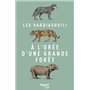 À l'orée d'une grande forêt