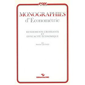 Rendements croissants et efficacité économique