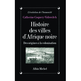 Histoire des villes d'Afrique Noire