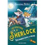 Les Aventures de Sherlock T5 Des ombres dans la brume