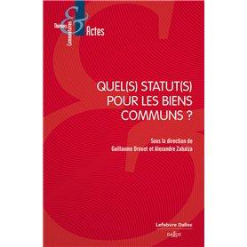 Quel(s) statut(s) pour les biens communs ?