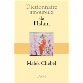 Dictionnaire amoureux de l'islam