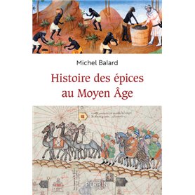 Histoire des épices au Moyen-âge