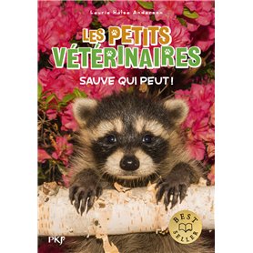 Un passage vers le Nord