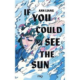 If you could see the sun
