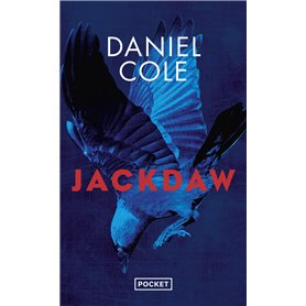 Jackdaw