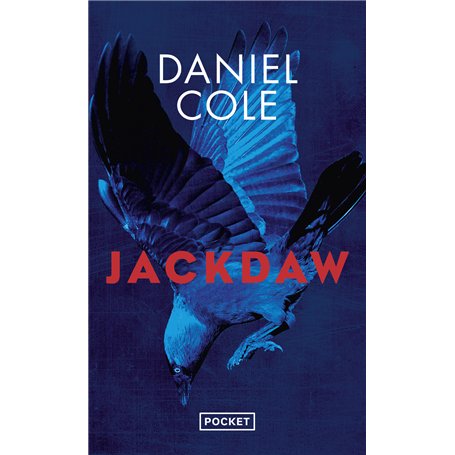 Jackdaw