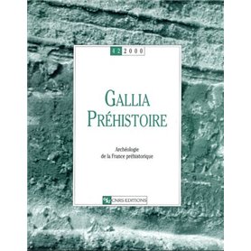 Gallia préhistoire-42-2000