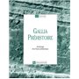 Gallia préhistoire-42-2000