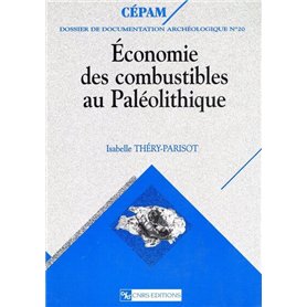 Economie des combustibles au paléolithique