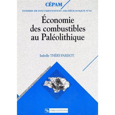 Economie des combustibles au paléolithique