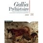 Gallia préhistoire 51