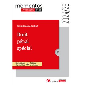 Droit pénal spécial