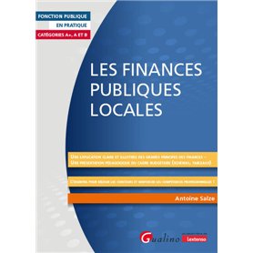 Les finances publiques locales