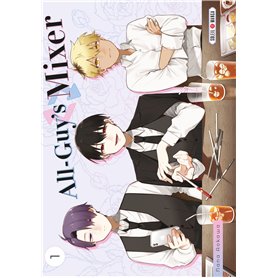All-Guy's Mixer T01