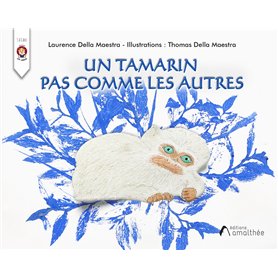 Un tamarin pas comme les autres