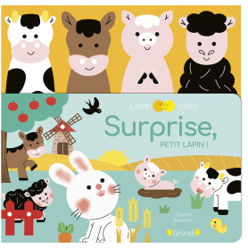 Surprise