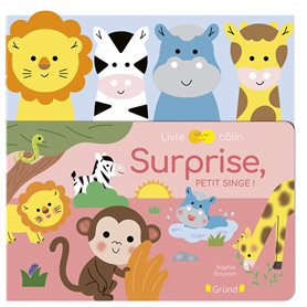 Surprise