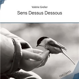 Sens Dessus Dessous