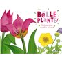 Une belle plante