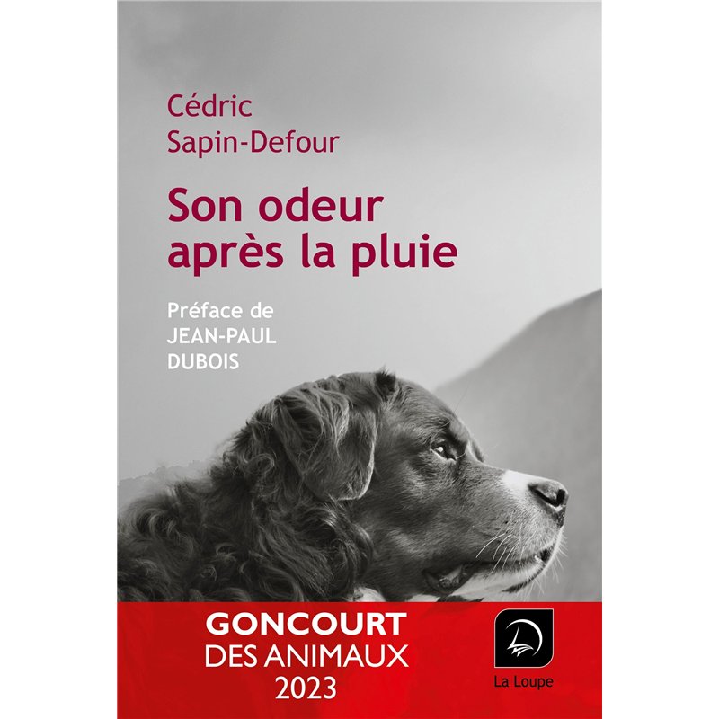 Million dollar week-end - Créer une entreprise rentable en 48h