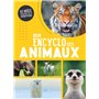 MON ENCYCLO DES ANIMAUX