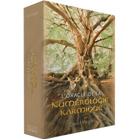 L'Oracle de la numérologie karmique