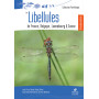 Libellules de France