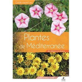 Plantes de Méditerranée