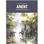 Anent