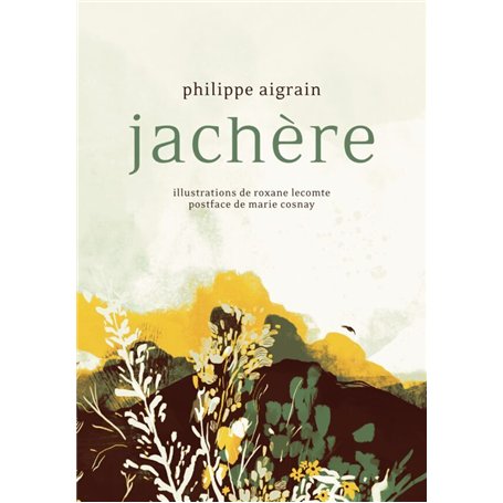 Jachère