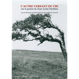 L'autre versant du cri