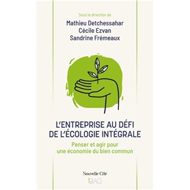 L'entreprise au défi de l'écologie intégrale