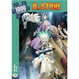 Dr. Stone puzzle 1000 pièces