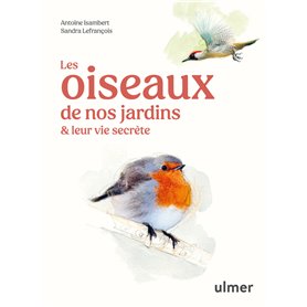 Les oiseaux de nos jardins & leur vie secrète