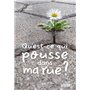 Qu'est-ce qui pousse dans ma rue ?