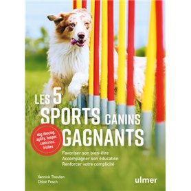 Les 5 sports canins gagnants