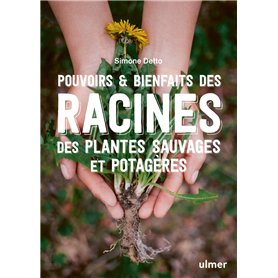 Pouvoirs & bienfaits des racines des plantes sauvages et potagères